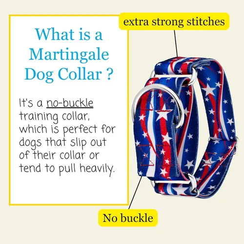 Miniatura 5 de Country Brook Petz HossFit Jr - Collar ancho de Martingala para perro, colección Americana con diseños patrióticos (celebración americana, mediano)