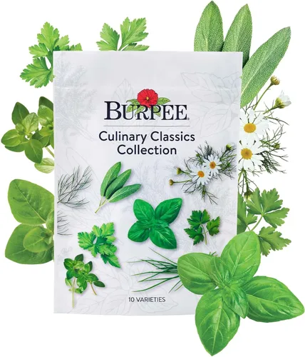 Burpee Culinary Classics Garden Collection - 10 paquetes de cebollino sin OGM, cilantro, albahaca, salvia, tomillo, eneldo, perejil, manzanilla,