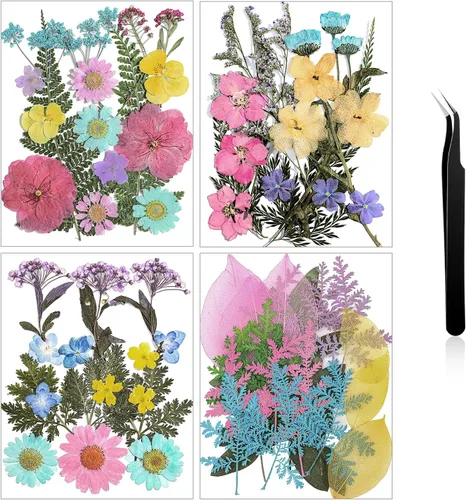 Miniatura 16 de Nuanchu Flores secas prensadas negras para manualidades, flores secas góticas, flores silvestres prensadas naturales a granel con pinzas para molde