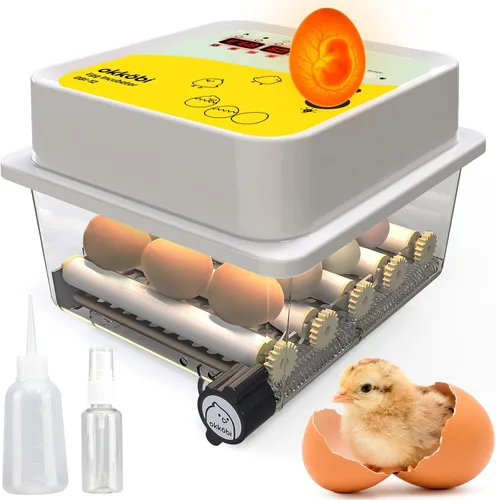 OBI-12 Incubadoras de huevos para incubar huevos - Incubadora para 12 huevos con girador automático de huevos - criador para huevos de gallina,
