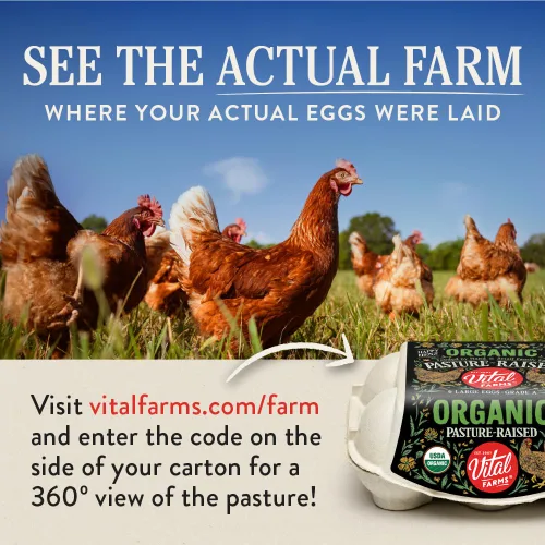 Miniatura 9 de Docena de huevos orgánicos Vital Farms. Huevos grandes, marrones con certificado