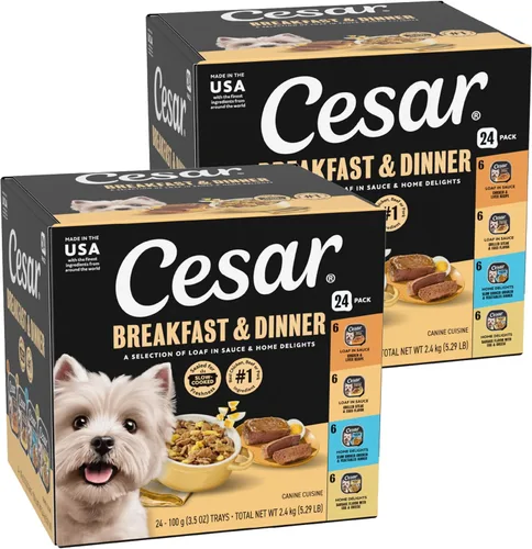 Miniatura 19 de Cesar - Comida húmeda para perros amantes de los filetes, para adultos, comida húmeda para perros con carne real, bandejas de 3.5 onzas fáciles