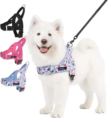 Miniatura 12 de KOOLTAIL Arnés sin tirones para perro pequeño, con acolchado suave y asa, arnés de chaleco para cachorro fácil de caminar, cuello y pecho, Negro