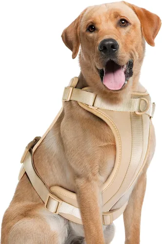 Miniatura 31 de Arnés ligero para perro sin tirones: arnés ajustable y duradero de malla transpirable con cojín suave y cómodo, para perros pequeños, medianos y Lila