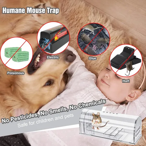 Miniatura 4 de 4 trampas para ratones humanas que no matan, trampa para ratones vivos, trampa reutilizable para ratones para casa y exteriores