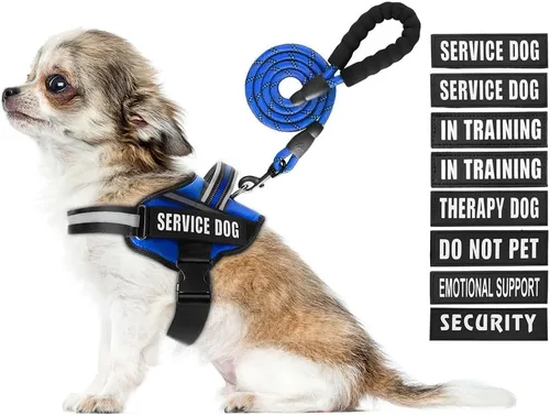 Miniatura 31 de Juego de arnés y correa para perro de servicio, arnés de entrenamiento para perro Animire con 10 parches para perros, correa reflectante para perro