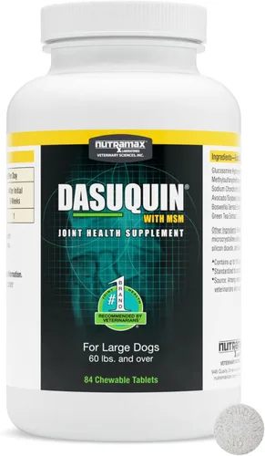 Nutramax Dasuquin para perros grandes, suplemento de salud articular, contiene glucosamina para perros, además de condroitina, ASU, MSM y más, apoya