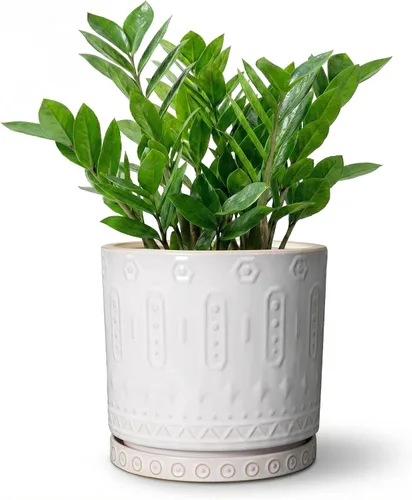 Miniatura 15 de Maceta de Cerámica Eightpot - Maceta de 20 cm para Interior con Agujeros de Drenaje y Platillo, Maceta Redonda para Exterior, Maceta Moderna de Azul