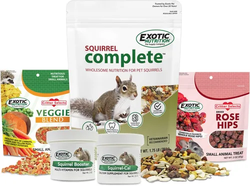 Paquete de iniciación de alimentos para ardillas, incluye dieta nutricionalmente completa, golosinas naturales y suplementos vitamínicos saludables,