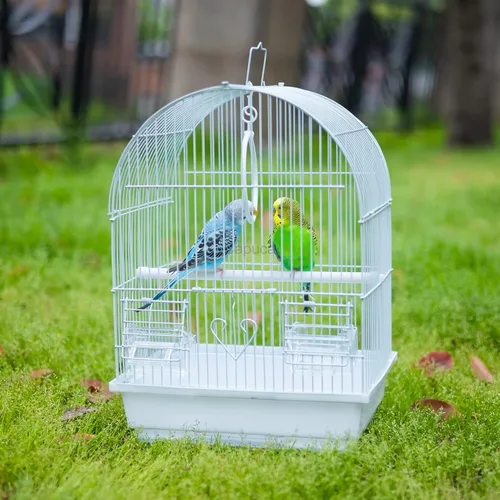 Miniatura 3 de Jaula de Viaje para Pequeñas Aves - Kit Inicial Ligero para Aves Pequeñas con Jaulas y Accesorios, Ideal para Periquitos, Tortolitos, Loros