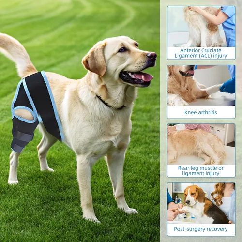 Miniatura 2 de Soporte de ACL para perro con 10 cadenas de apoyo mejoradas – Proporciona apoyo adicional para piernas traseras, lesiones de ACL y articulaciones