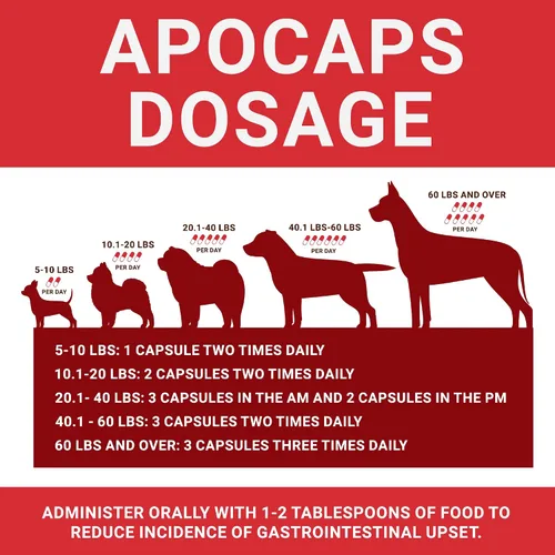 Miniatura 4 de apocaps CX apoptogen Fórmula para perros (90 Cápsulas), paquete de de 1