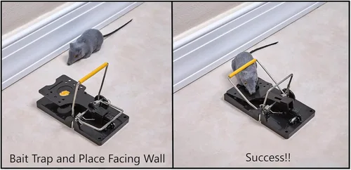 Miniatura 5 de Bullseye - Paquete de 12 trampas para ratones - Interior/exterior, reutilizable, fácil instalación, potente resorte de acero inoxidable, cuerpo ABS
