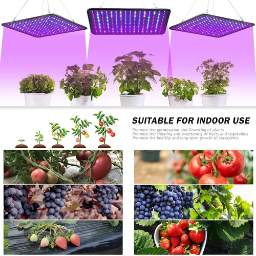 Miniatura 6 de Luz de cultivo para plantas de interior - SERWING Luz de cultivo LED de 200W de espectro completo, lámpara de cultivo de plantas para cultivo