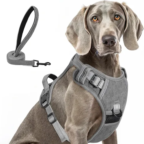 Miniatura 30 de BEAUTYZOO Arnés para perro sin tirones pequeño, juego de arnés y correa ajustable para perro - Fácil de usar con 3 hebillas/mango de control, arnés