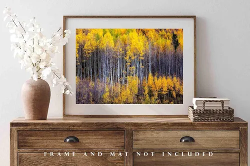 Miniatura 4 de Forest Photography Print (Not Framed) Picture of Aspen Trees Appearing as Reflection on Side of Mountain on Autumn Day at Maroon Bells Colorado