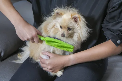 Miniatura 6 de Escoba para remover el pelo de mascotas con rasqueta y mango telescópico que se extiende de 3 a 5 pies, negro y amarillo