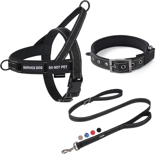 Annchwool Arnés para perro sin tirones, juego de collar y correa reflectante resistente - Correa para perro con doble asa y clip de cinturón de