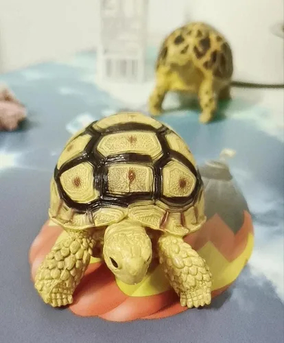 Miniatura 2 de AWXZOM Estatua de tortuga Sulcata – Stigmochelys pardalis Leopard Terrapin Figurita decoración de tortuga para decoración de reptiles del hogar