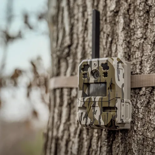 Miniatura 7 de Moultrie Cámara Edge Pro Cellular Trail - Conexión automática, cobertura nacional, tecnología de eliminación de disparos falsos, video de 1080p