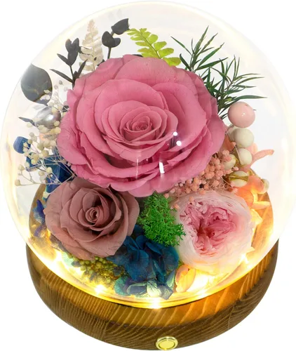 Miniatura 11 de Valley of Rain & Forest Flores reales de larga duración, regalo floral único para que envíes amor para todas las ocasiones, para decoración de Rosa
