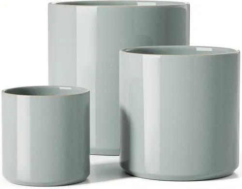 Miniatura 13 de LE TAUCI Macetas de cerámica para interiores, macetas de 10+8+6 pulgadas para plantas de interior, macetas para flores con puntos elevados