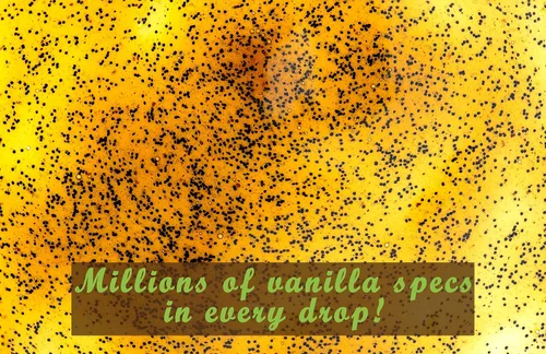 Miniatura 7 de Pasta de vainilla en grano para hornear y cocinar - Mezcla gourmet de vainilla bourbon de Madagascar hecha con semillas de vainilla real - 32 onzas