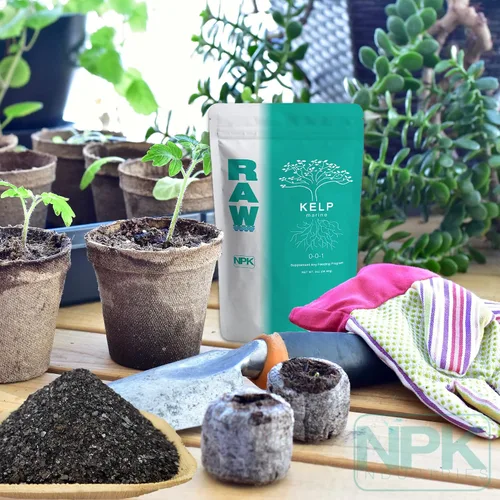 Miniatura 4 de RAW Kelp Marine - Fertilizante de refuerzo del crecimiento de plantas soluble en agua para el desarrollo de raíces y el crecimiento de plantas, 2