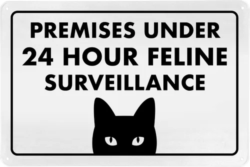 Señal de Gato de 24 Horas de Vigilancia Felina de Premises Under 24 Hour - Cartel de gato divertido, metal, 8 x 12 pulgadas, letreros de gato para