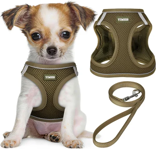 YIMEIS Juego de arnés y correa para perro, arnés de malla suave sin tirones, chaleco reflectante ajustable para cachorros para perros pequeños,