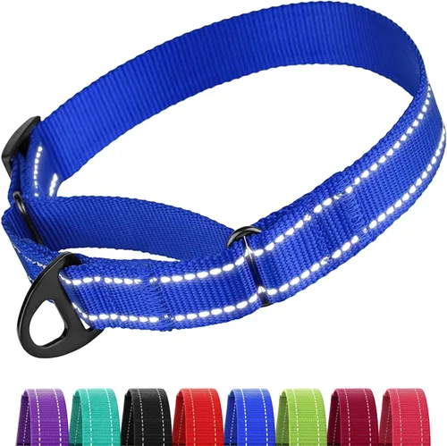 Miniatura 8 de CollarDirect Martingale - Collar de nailon resistente para perros pequeños, medianos y grandes [nailon, estampado, aguamarina, L, 15-20 pulgadas)