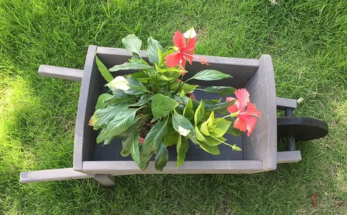 Miniatura 3 de Seny Bonita maceta de jardín estilo carretilla con ruedas para exteriores e interiores