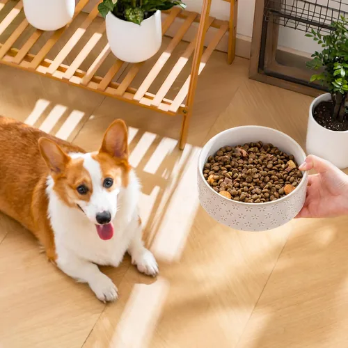 Miniatura 7 de Taza de comida para perros de cerámica MALACASA, 3.5 tazas o 32oz de plato de agua para comida de perro para razas medianas, taza para mascotas apta