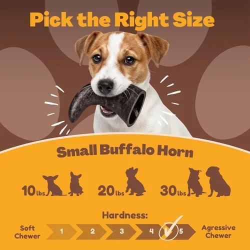 Miniatura 3 de WhiteTail Naturals - Cuernos de búfalo de agua para perros (paquete de 3 unidades pequeñas a medianas de 4 pulgadas) Hueso de perro totalmente