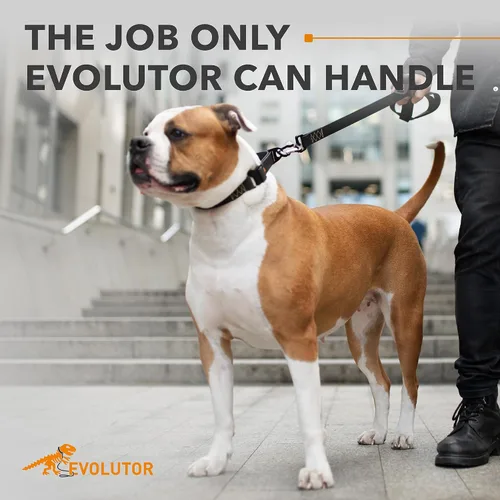 Miniatura 2 de COLLAR Evolutor - Correa para perro extra resistente de 4 pies, duradera para perros grandes, medianos y pequeños, fuerte para razas grandes, Negro