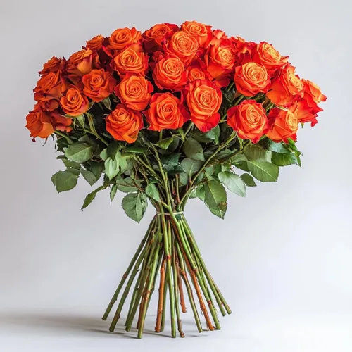 Miniatura 27 de GlobalRose Ramo de 100 Rosas Melocotón - Rosas de Origen Responsable Flores Frescas - Ramo Fresco de Flores Seleccionadas a Mano para Graduación