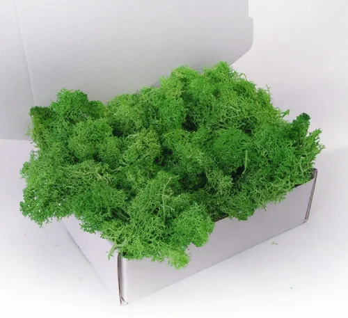Miniatura 18 de Musgo preservado, musgo de 3.5 onzas para manualidades, decoración de musgo sintético, musgo verde natural para decoración de pared de floristería