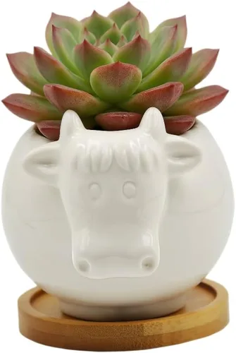 Miniatura 2 de Cuteforyou Macetas para suculentas, bonita maceta de cerámica con forma de vaca de dibujos animados para suculentas/cactus/flores, soportes