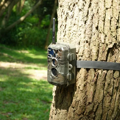 Miniatura 2 de Meidase Trail Camera P80 Pro WiFi Bluetooth (no celular), sensibilidad a la luz súper baja, ángulo de visión de 110°, cámara de juego de 48MP 1296p