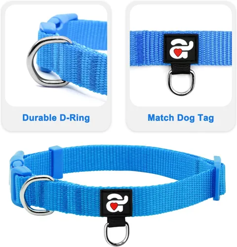 Miniatura 3 de azuza Paquete de 3 collares de perro cómodos y ajustables de nailon para perros pequeños, S (11-16 pulgadas), verde, azul y azul rey 2-4#3 Pack