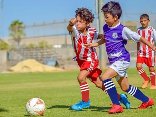 Miniatura 7 de Century Star Calcetines de fútbol para niñas y niños, calcetines de béisbol para jóvenes, calcetines de sóftbol para niños, calcetines deportivos