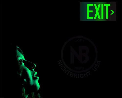 Miniatura 5 de Letrero de salida fotoluminiscente verde – Aprobado por código de aluminio UL 924 / IBC/NFPA 101 NightBright USA Número de pieza ULG-050