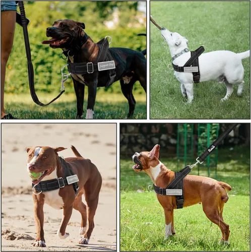 Miniatura 7 de Juego de arnés y correa para perro Lukove sin tirones - Arnés de chaleco para perros resistente con acolchado suave para perros medianos y grandes