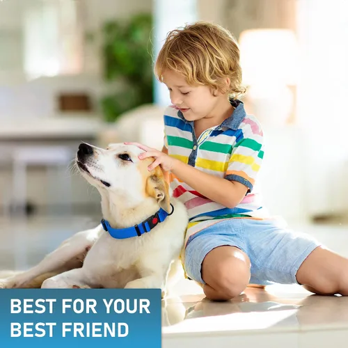 Miniatura 9 de Collar de perro ajustable con código QR identificación adjunta, fabricado en Estados Unidos, collar de perro resistente al agua con hebilla de Azul