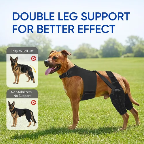 Miniatura 3 de Rodillera para perro para patas traseras desgarradas del ligamento cruzado anterior – Soporte ajustable antideslizante para piernas de perro con 4