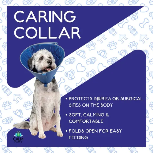 Miniatura 6 de Calm Paws Collar para el cuidado del perro con calmante (XS)