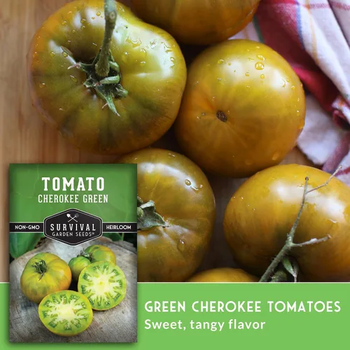 Miniatura 4 de Cherokee - Semillas de tomate verde para plantar, variedad reliquia con rico sabor dulce, tomates grandes sin OMG para rebanar y ensaladas, semillas