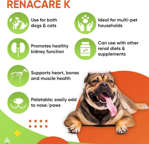 Miniatura 8 de RenaCare K es para Renal K (gluconato de potasio) Suplemento en polvo de potasio para perros y gatos, (4 onzas) con sabor a hígado de pollo