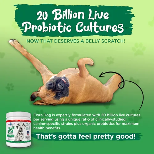 Miniatura 5 de Vital Planet - Suplemento probiótico en polvo para perros Flora con 20 mil millones de cultivos y 10 cepas, probióticos de apoyo inmunológico