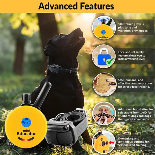 Miniatura 2 de Collar de entrenamiento para perro de Educator E-Collar , Amarillo 1/2 milla impermeable, 100 niveles de estimulación + vibración + luz + sonido